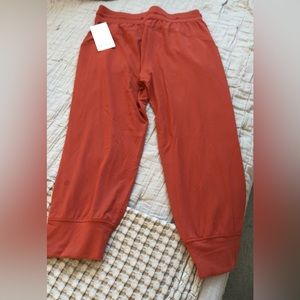Lululemon Ready to Rulu Jogger Crop - Women’s Size 10. BRAND NEW - WITH TAGS!!